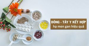 thuốc chữa bệnh gan